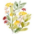 Picture of SPRING SPRIGS COLLECTION C