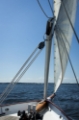 Picture of SAILING IN THE CHESAPEAKE BAY OFF HISTORIC ANNAPOLIS, MD. I