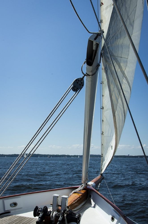 Picture of SAILING IN THE CHESAPEAKE BAY OFF HISTORIC ANNAPOLIS, MD. I