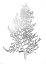 Picture of SILVER FOIL ALGAE IV