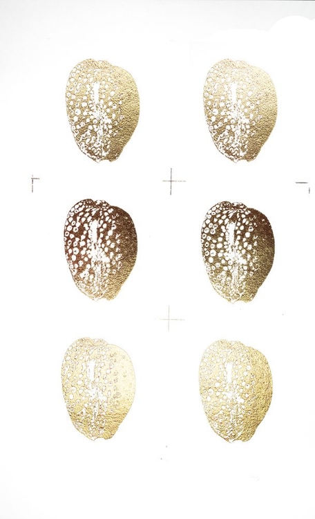 Picture of 6-UP GOLD FOIL SHELL II