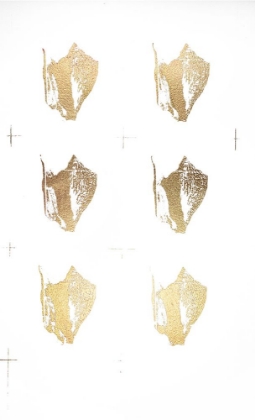 Picture of 6-UP GOLD FOIL SHELL III