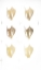 Picture of 6-UP GOLD FOIL SHELL III