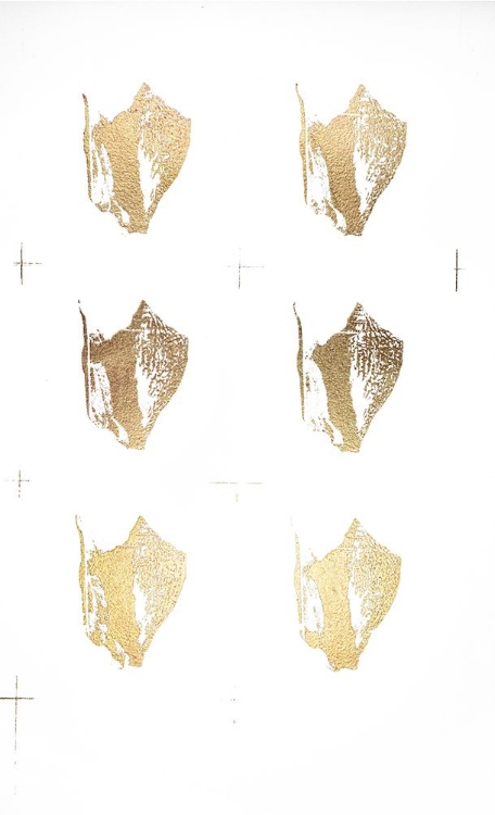 Picture of 6-UP GOLD FOIL SHELL III