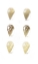Picture of 6-UP GOLD FOIL SHELL IV