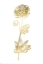 Picture of GOLD FOIL SINGULAR BEAUTY I