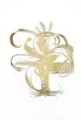 Picture of GOLD FOIL ALOE I