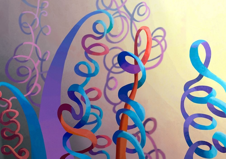 Picture of MUSILLUSION