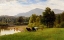 Picture of PASTURE LANDS