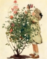 Picture of DREAM BLOCKS 1908 - TENDING THE ROSES