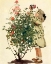 Picture of DREAM BLOCKS 1908 - TENDING THE ROSES