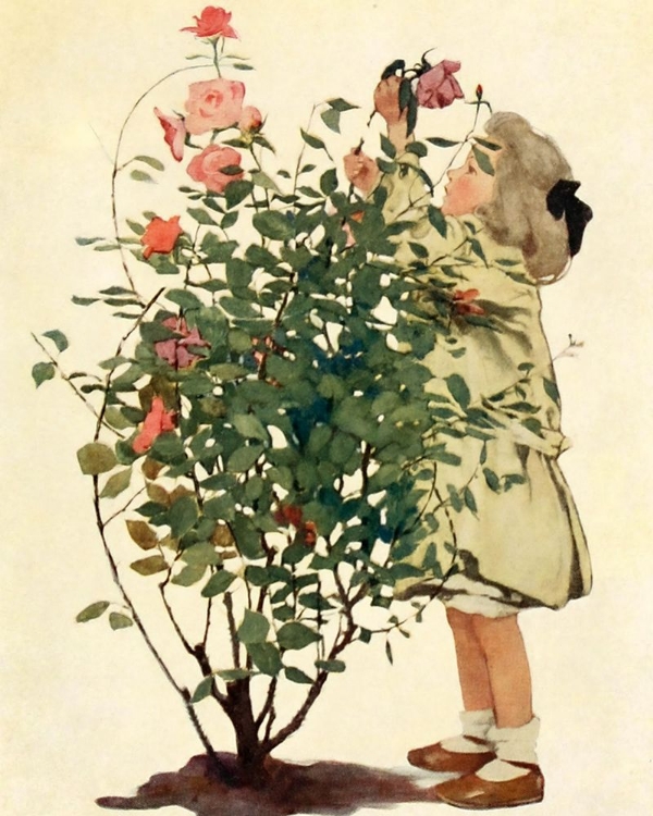 Picture of DREAM BLOCKS 1908 - TENDING THE ROSES