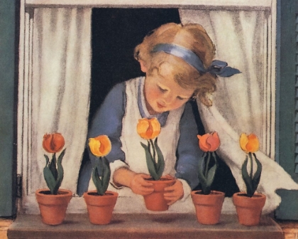 Picture of GOOD HOUSEKEEPING - POTTING TULIPS