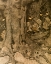 Picture of THE PRINCESS AND THE GOBLIN 1920 - OWLS IN THE FOREST