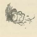 Picture of WINNIE-THE-POOH 1926 - BUMPING HIS HEAD