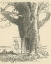 Picture of WINNIE-THE-POOH 1926 - DO YOU HAVE A BALLOON