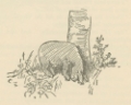 Picture of WINNIE-THE-POOH 1926 - EEYORE LOSES A TAIL