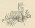 Picture of WINNIE-THE-POOH 1926 - EEYORE LOSES A TAIL