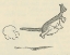 Picture of WINNIE-THE-POOH 1926 - IN THREE LARGE JUMPS