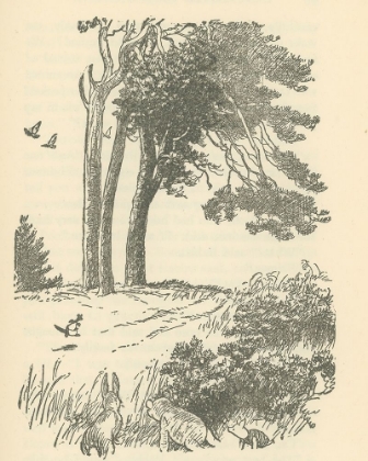 Picture of WINNIE-THE-POOH 1926 - KANGA AND BABY ROO