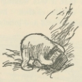 Picture of WINNIE-THE-POOH 1926 - OH BOTHER