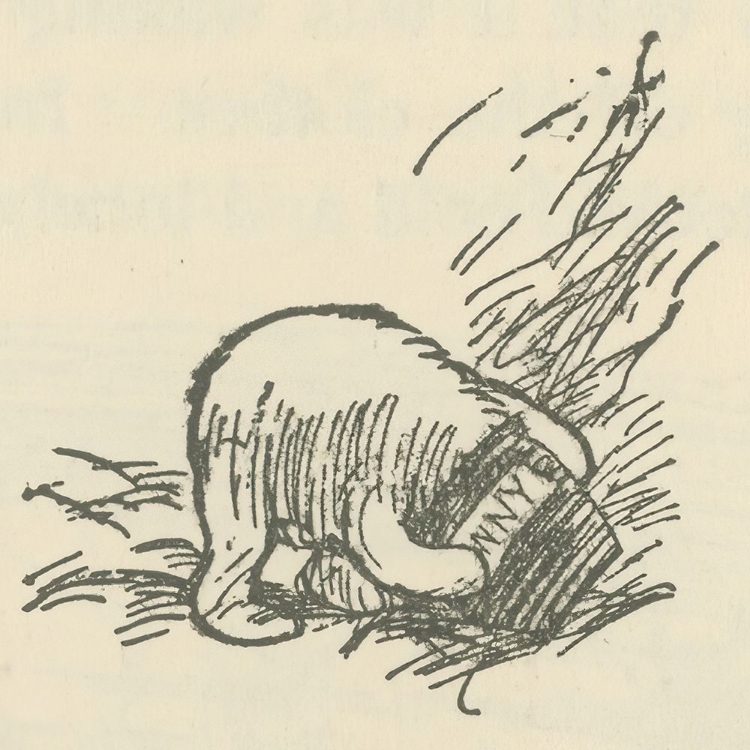 Picture of WINNIE-THE-POOH 1926 - OH BOTHER