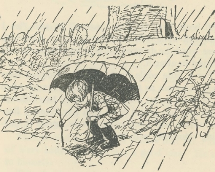 Picture of WINNIE-THE-POOH 1926 - ON A REAL ISLAND