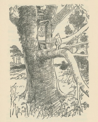 Picture of WINNIE-THE-POOH 1926 - OWLS HOUSE