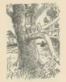 Picture of WINNIE-THE-POOH 1926 - OWLS HOUSE