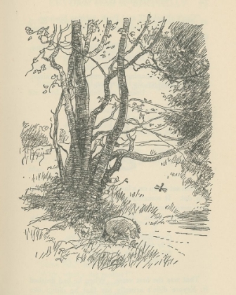 Picture of WINNIE-THE-POOH 1926 - PATHETIC SAID EEYORE