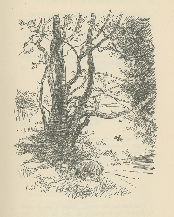 Picture of WINNIE-THE-POOH 1926 - PATHETIC SAID EEYORE