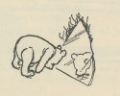 Picture of WINNIE-THE-POOH 1926 - STOUTNESS EXERCISES