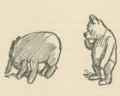 Picture of WINNIE-THE-POOH 1926 - WHATS HAPPENED TO YOUR TAIL