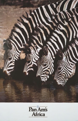 Picture of AFRICA BY AIR VINTAGE MID CENTURY AIRLNE TRAVEL POSTER