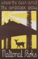 Picture of AMERICAN VINTAGE NATIONAL PARKS POSTER DEER