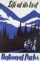 Picture of AMERICAN VINTAGE NATIONAL PARKS POSTER BLUE