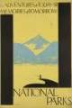 Picture of AMERICAN VINTAGE NATIONAL PARKS POSTER FISHING