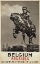 Picture of BELGIUM VINTAGE TRAVEL POSTER