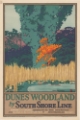 Picture of INDIANA THE DUNES WOODLAND VINTAGE RAIL TRAVEL POSTER