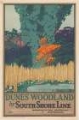 Picture of INDIANA THE DUNES WOODLAND VINTAGE RAIL TRAVEL POSTER