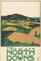 Picture of LONDON UNDERGROUND THE NORTH DOWNS VINTAGE TRAVEL POSTER 1915