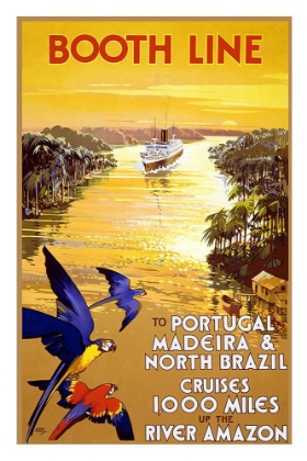 Picture of MADEIRA AND BRAZIL VINTAGE TRAVEL POSTER