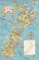 Picture of NEW ZEALAND FUN MAP VINTAGE TRAVEL POSTER