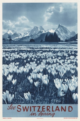 Picture of SWITZERLAND VINTAGE TRAVEL POSTER