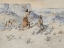 Picture of ANTELOPE HUNTING 1901