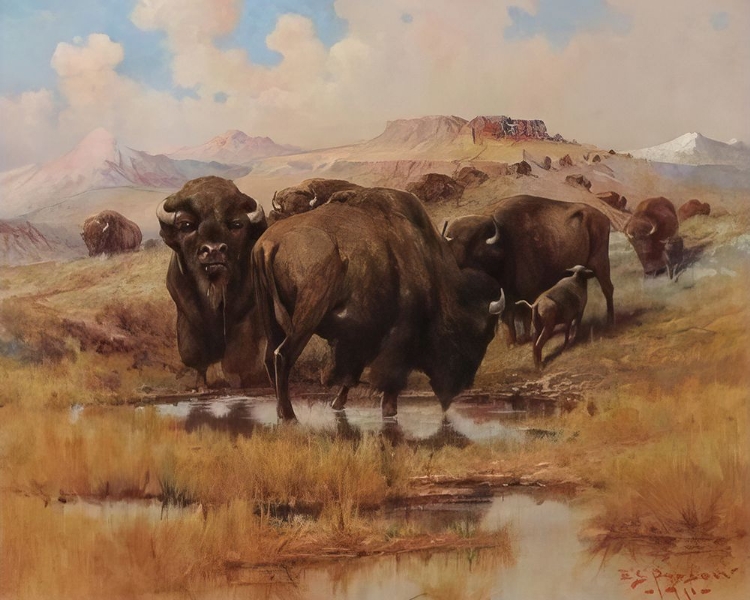 Picture of BUFFALO AT A WATERING HOLE 1913