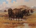 Picture of BUFFALO AT A WATERING HOLE 1913