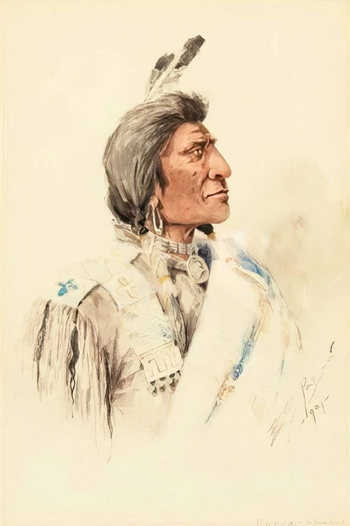 Picture of NAG A SHAW