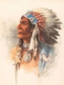 Picture of WOLF ROBE 1901