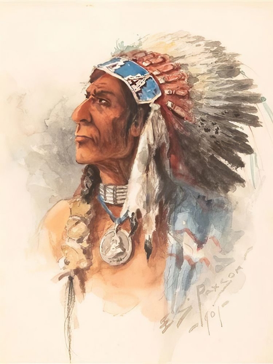 Picture of WOLF ROBE 1901